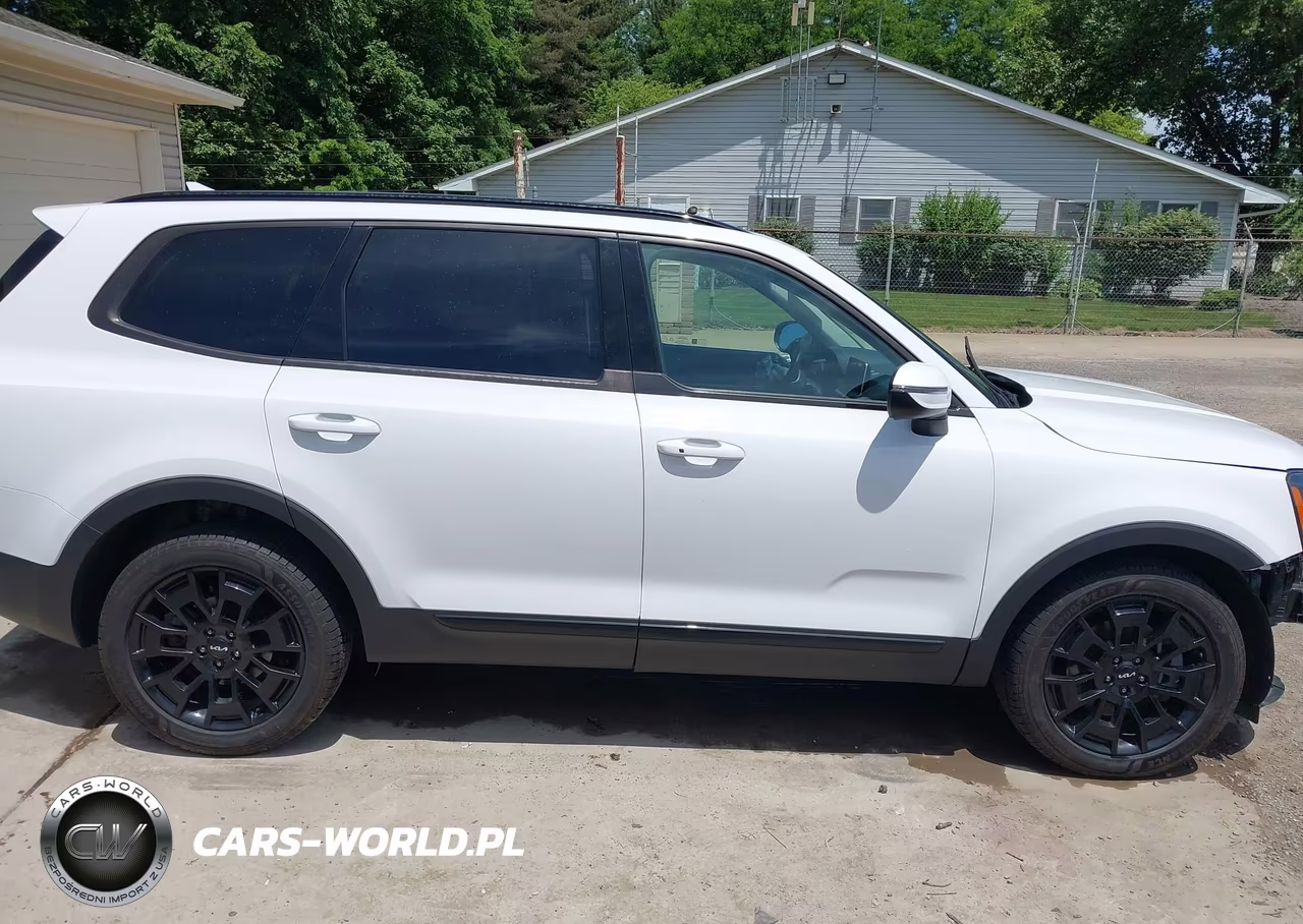 2022 Kia Telluride Ex VIN:5XYP3DHC1NG253616 - 13