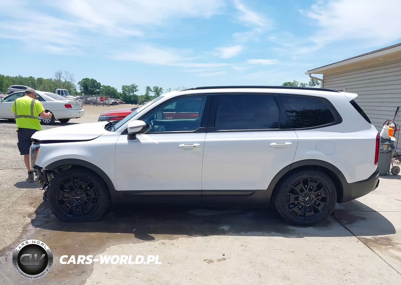 2022 Kia Telluride Ex VIN:5XYP3DHC1NG253616 - 14