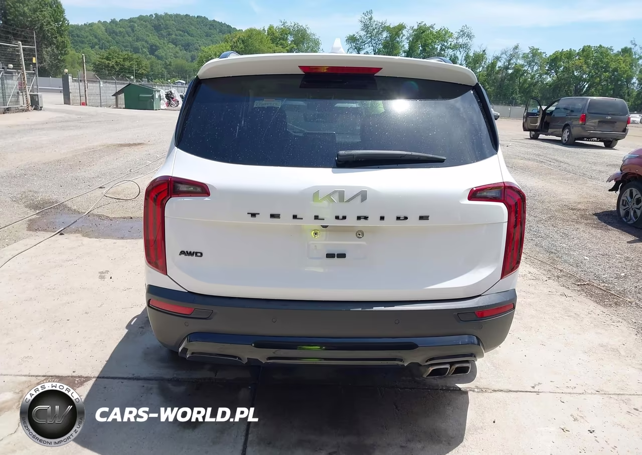 2022 Kia Telluride Ex VIN:5XYP3DHC1NG253616 - 16