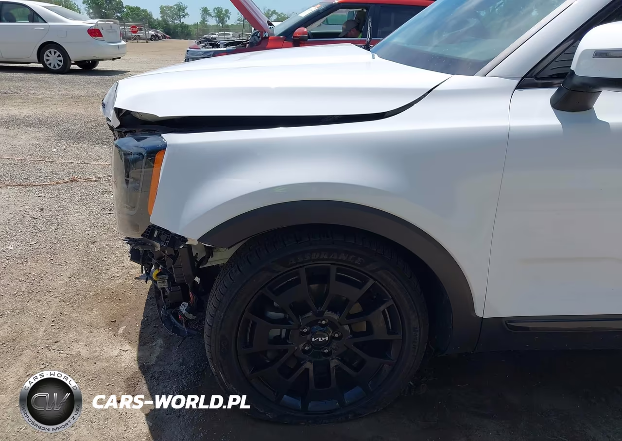 2022 Kia Telluride Ex VIN:5XYP3DHC1NG253616 - 17
