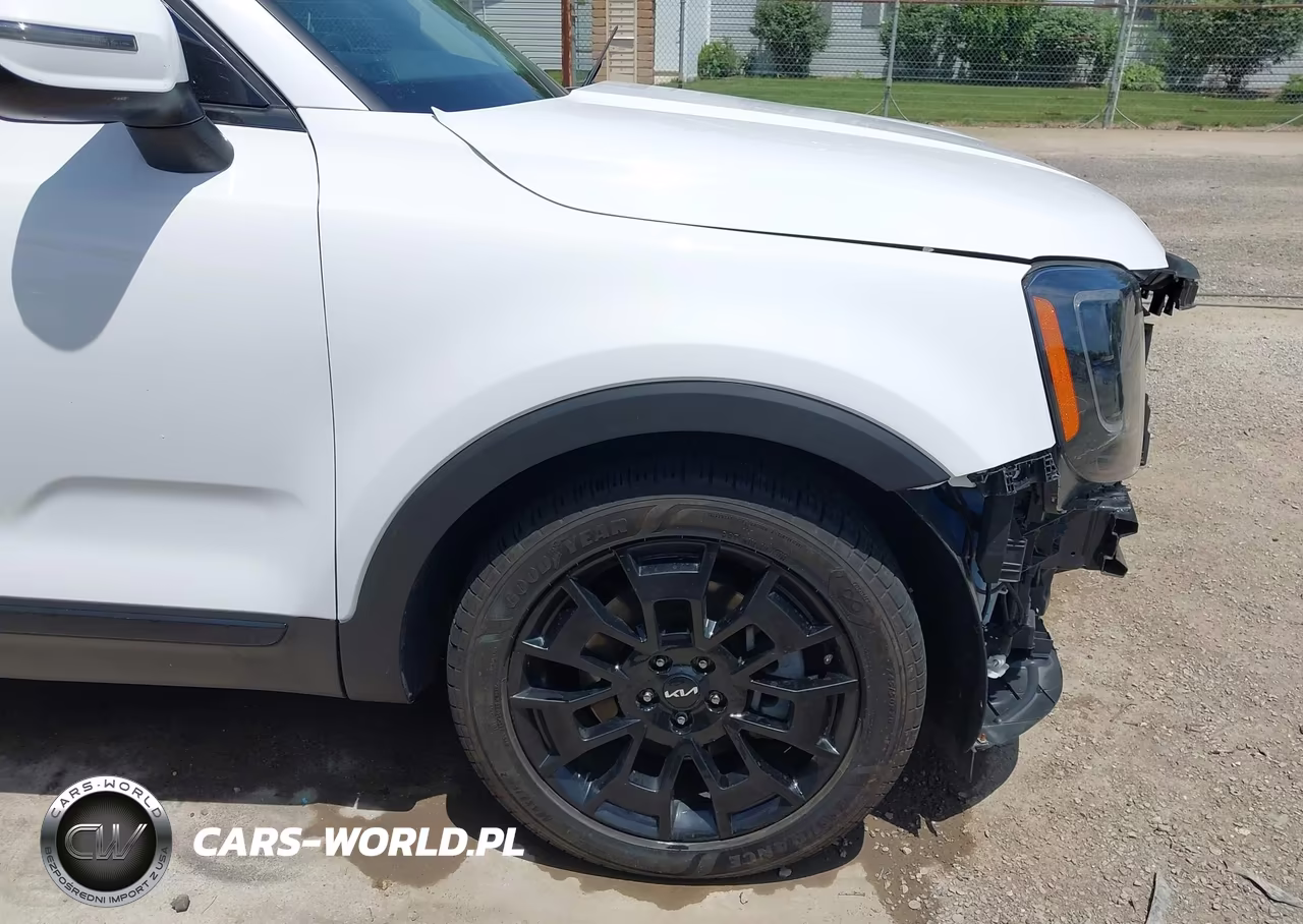 2022 Kia Telluride Ex VIN:5XYP3DHC1NG253616 - 18