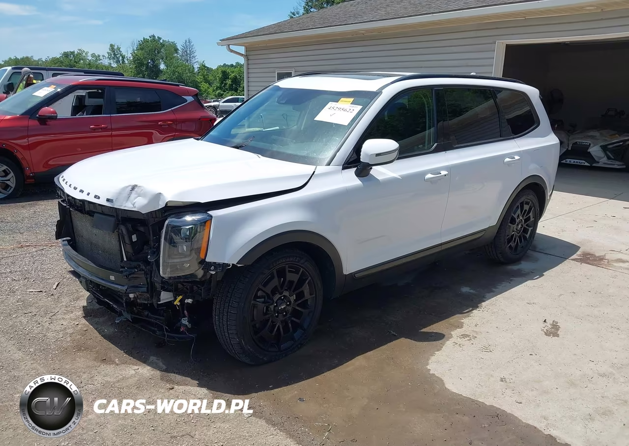 2022 Kia Telluride Ex VIN:5XYP3DHC1NG253616 - 2