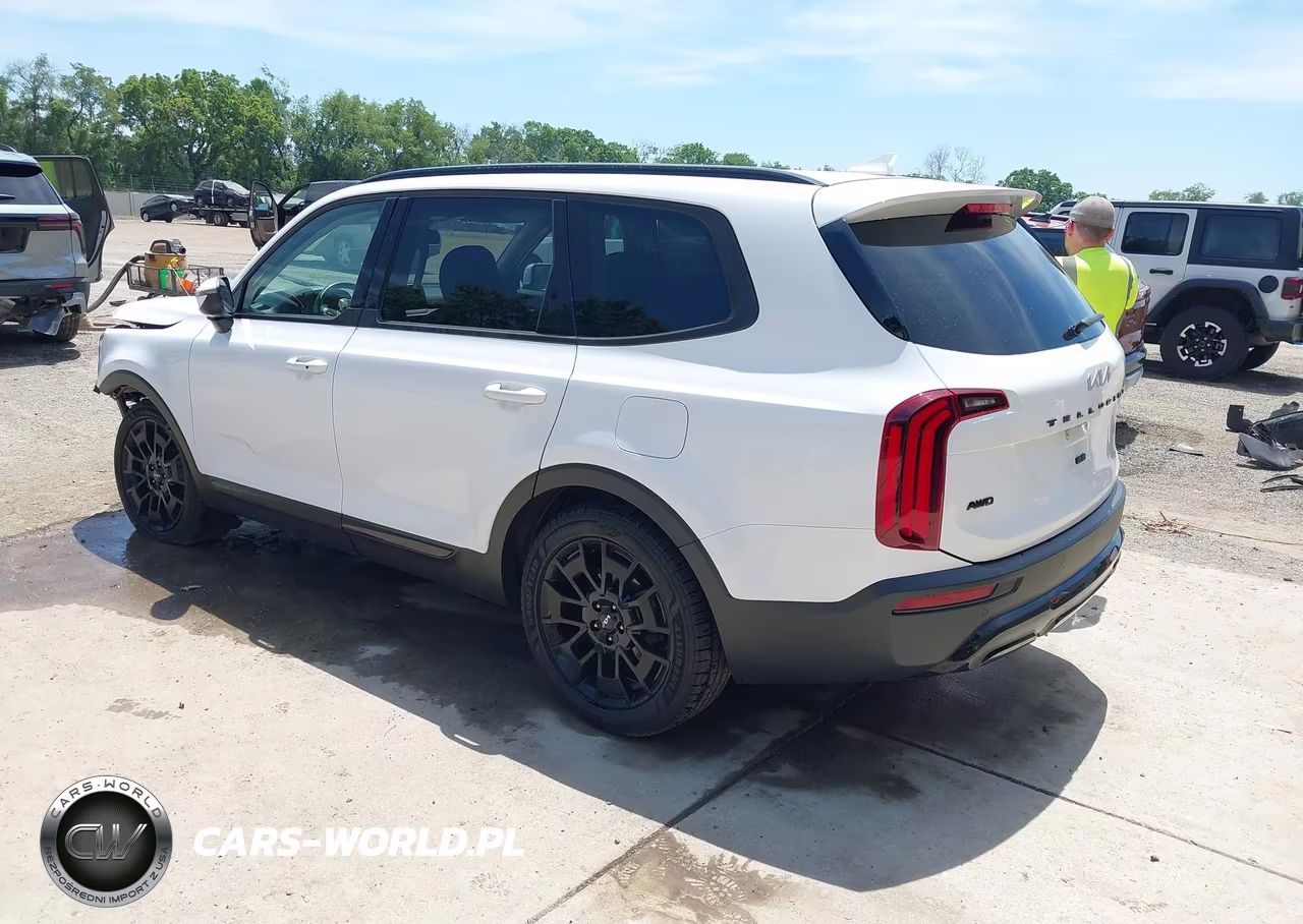 2022 Kia Telluride Ex VIN:5XYP3DHC1NG253616 - 3