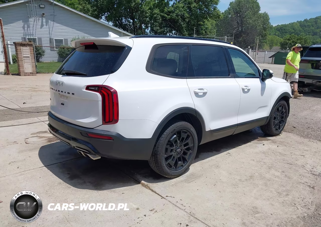 2022 Kia Telluride Ex VIN:5XYP3DHC1NG253616 - 4
