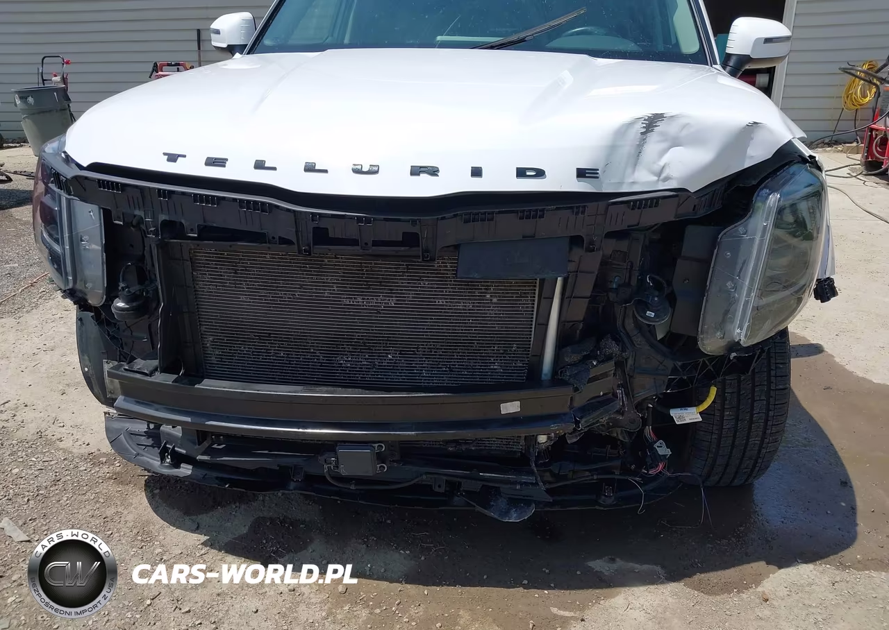 2022 Kia Telluride Ex VIN:5XYP3DHC1NG253616 - 6
