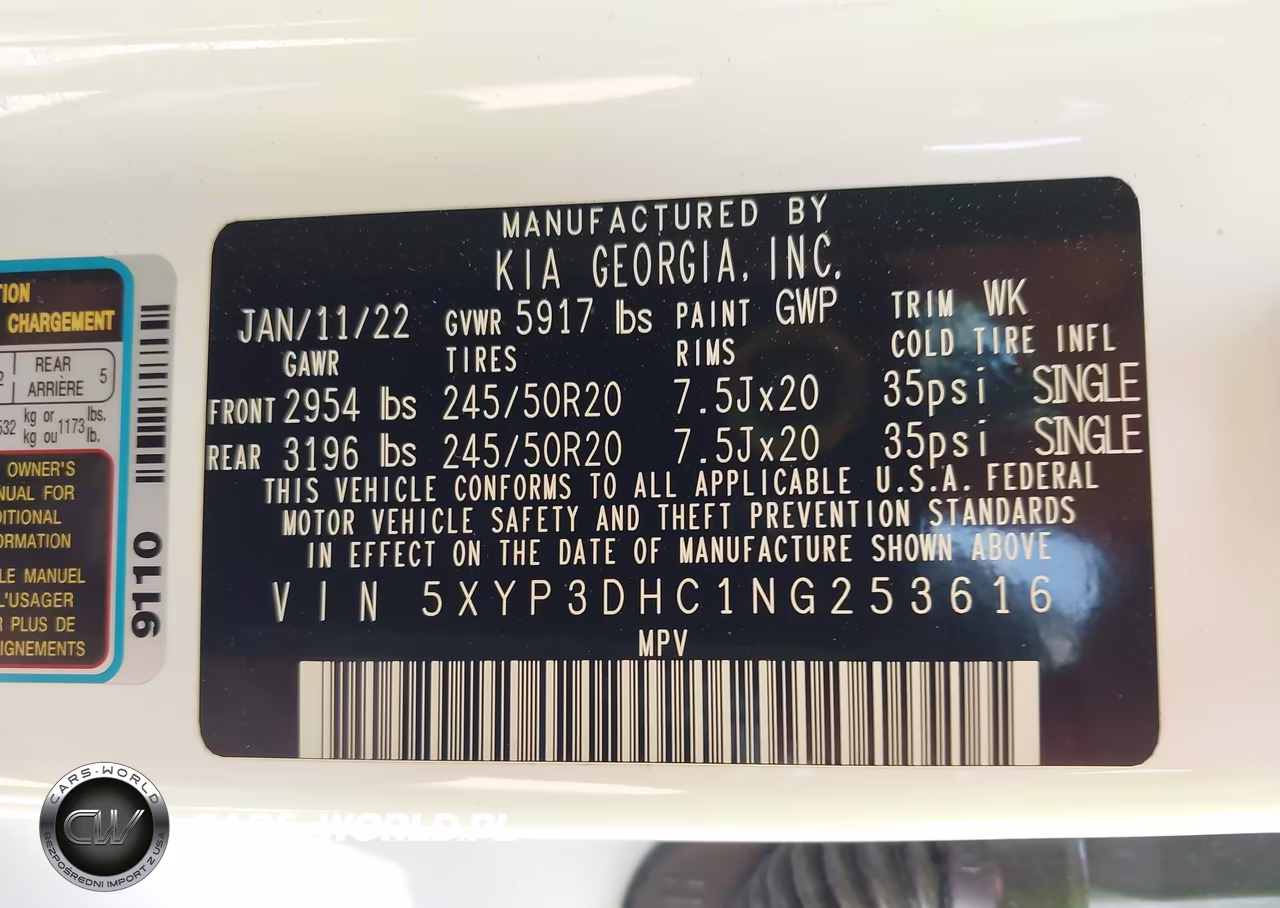 2022 Kia Telluride Ex VIN:5XYP3DHC1NG253616 - 9