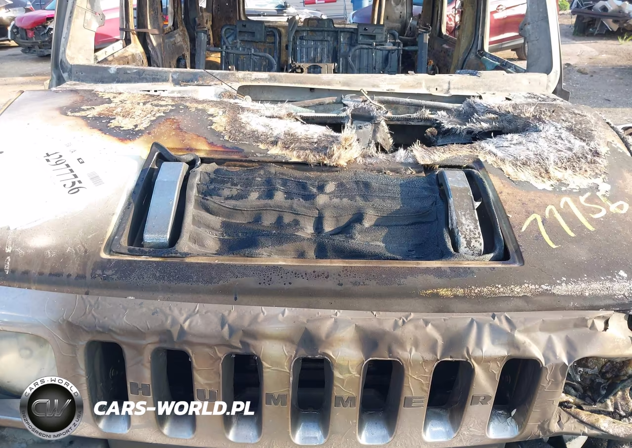 2004 Hummer H2 VIN:5GRGN23U44H120559 - 10