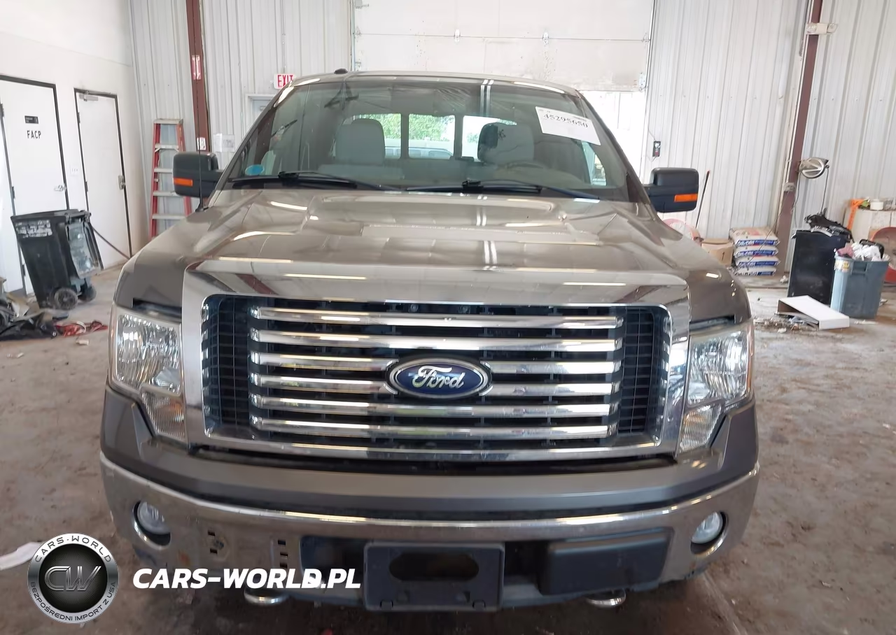2010 Ford F-150 Fx4-Harley-Davidson-King Ranch-Lariat-Platinum-Xl-Xlt VIN:1FTFW1EV7AFD20479 - 12