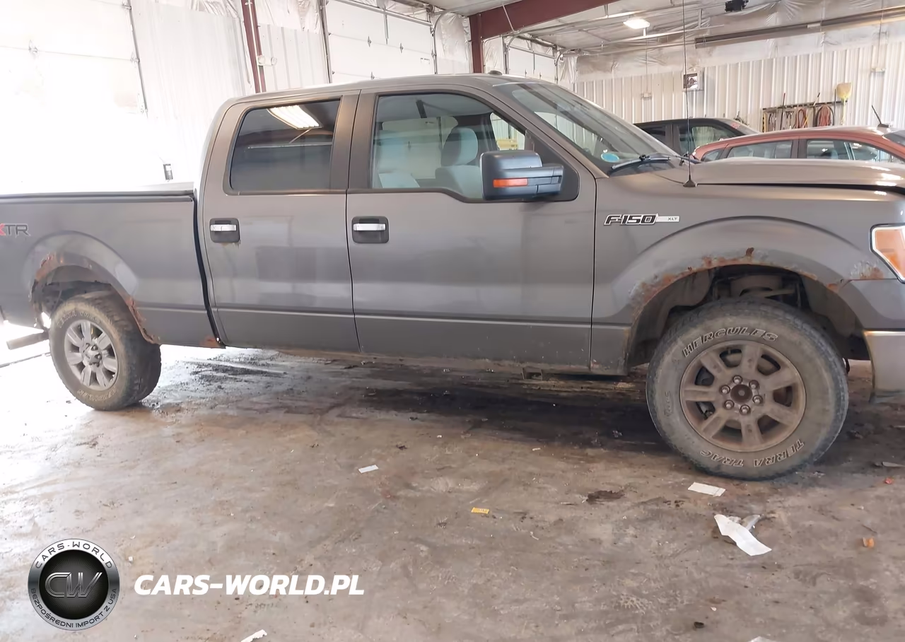 2010 Ford F-150 Fx4-Harley-Davidson-King Ranch-Lariat-Platinum-Xl-Xlt VIN:1FTFW1EV7AFD20479 - 13