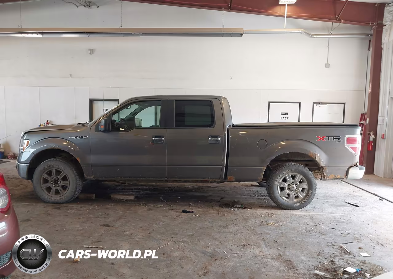 2010 Ford F-150 Fx4-Harley-Davidson-King Ranch-Lariat-Platinum-Xl-Xlt VIN:1FTFW1EV7AFD20479 - 14