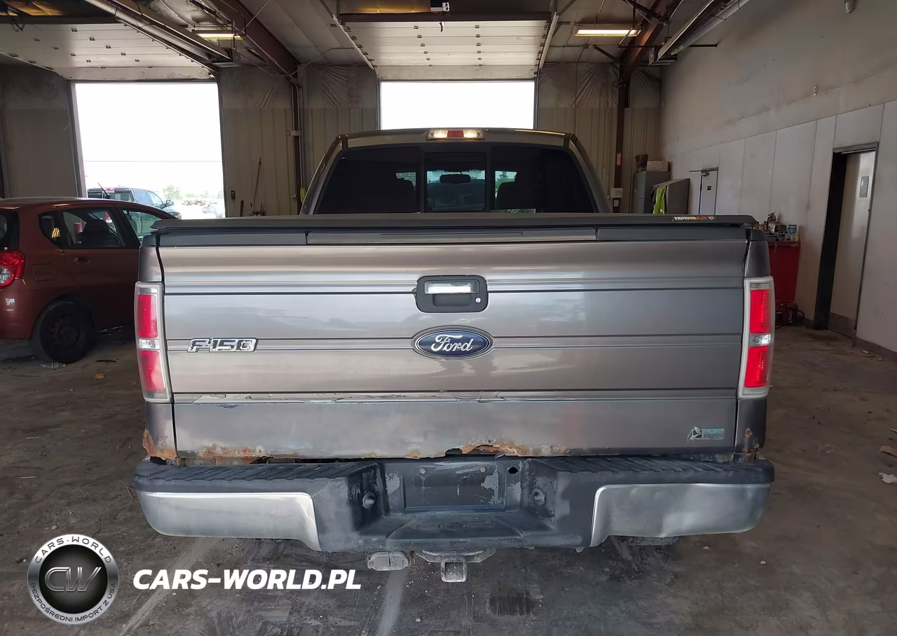 2010 Ford F-150 Fx4-Harley-Davidson-King Ranch-Lariat-Platinum-Xl-Xlt VIN:1FTFW1EV7AFD20479 - 16