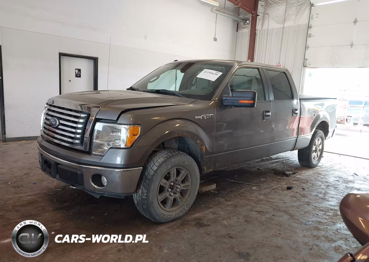 2010 Ford F-150 Fx4-Harley-Davidson-King Ranch-Lariat-Platinum-Xl-Xlt VIN:1FTFW1EV7AFD20479 - 2
