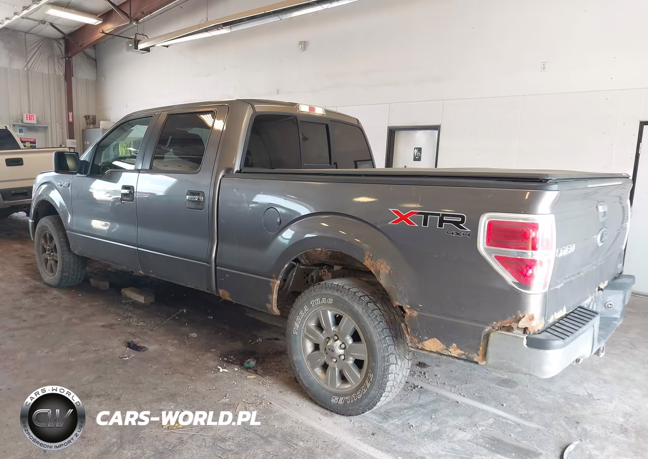 2010 Ford F-150 Fx4-Harley-Davidson-King Ranch-Lariat-Platinum-Xl-Xlt VIN:1FTFW1EV7AFD20479 - 3