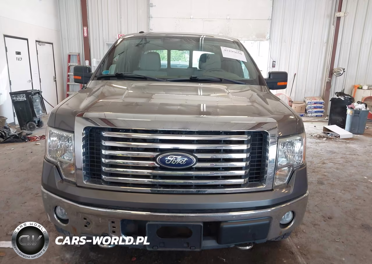 2010 Ford F-150 Fx4-Harley-Davidson-King Ranch-Lariat-Platinum-Xl-Xlt VIN:1FTFW1EV7AFD20479 - 6