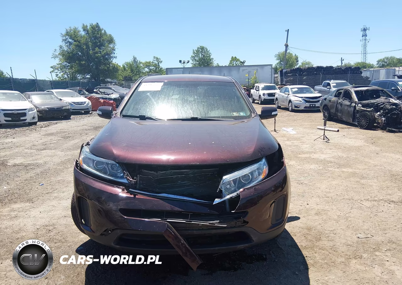 2014 Kia Sorento Lx VIN:5XYKT3A6XEG523550 - 12