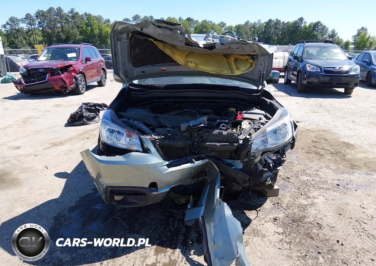 2018 Subaru Forester 2.5I Limited VIN:JF2SJAJC0JH404862 - 12