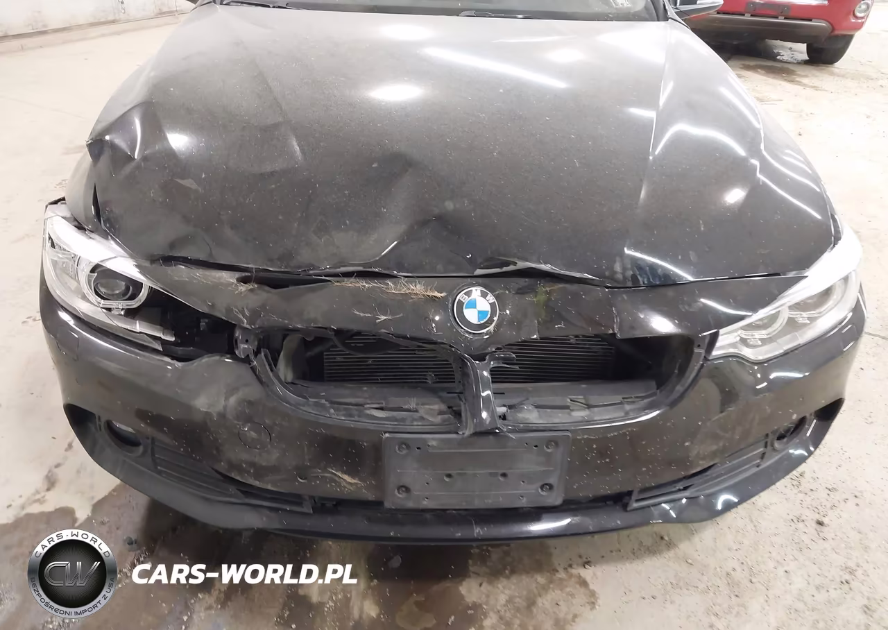 2015 BMW 428I xDrive VIN:WBA3N5C54FK198059 - 6
