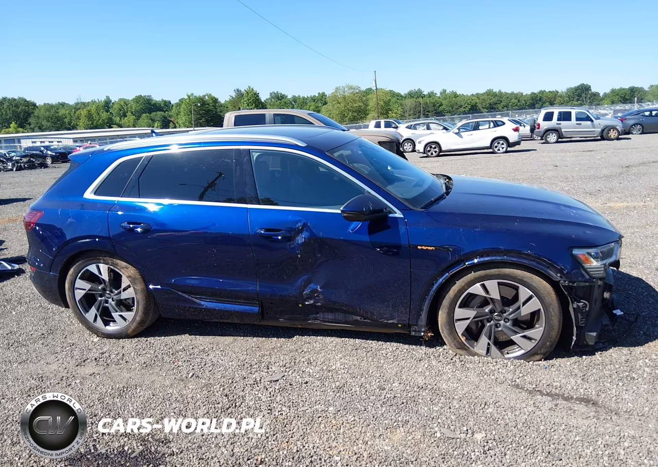 2023 Audi E-Tron Premium Plus Quattro VIN:WA1LAAGE1PB014550 - 14