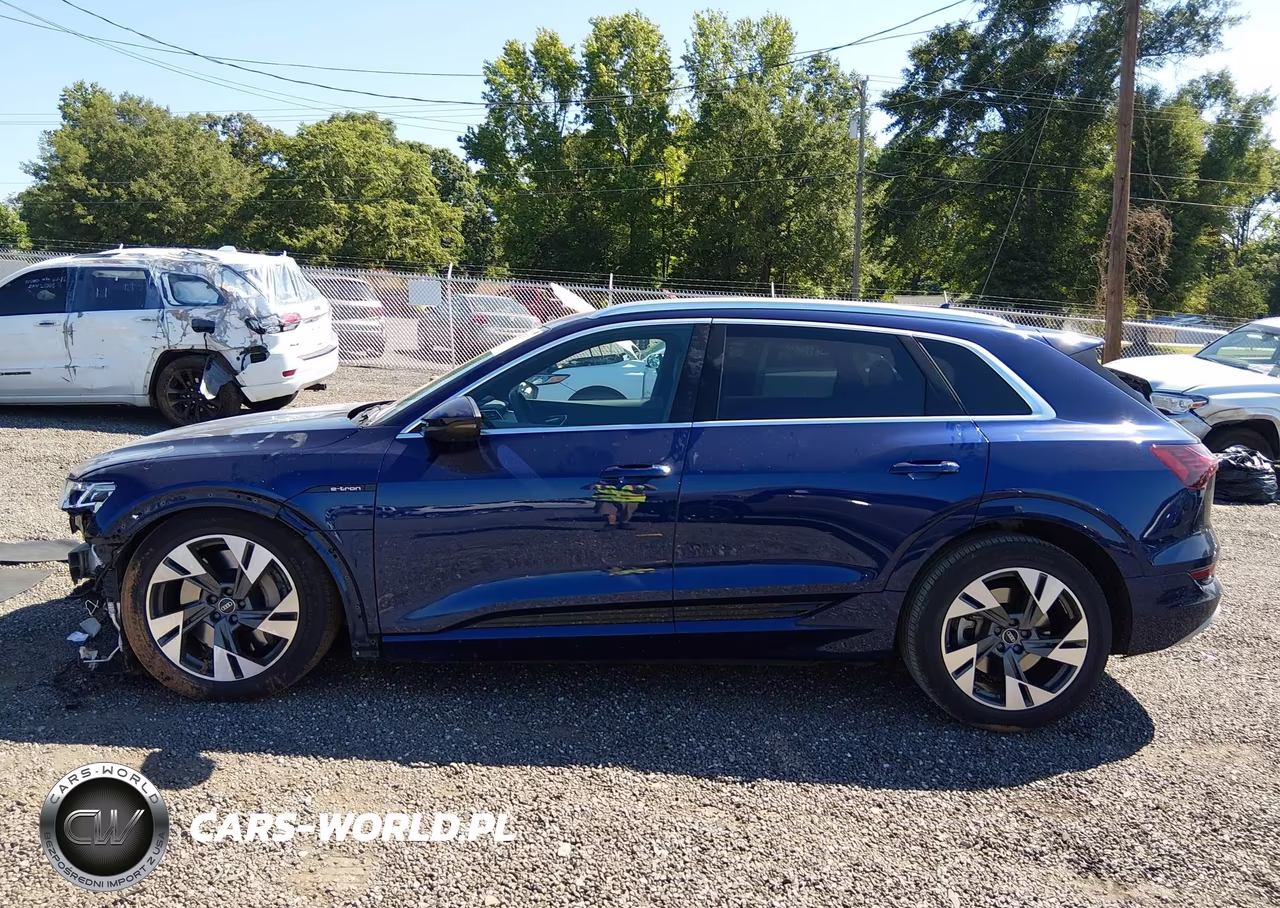 2023 Audi E-Tron Premium Plus Quattro VIN:WA1LAAGE1PB014550 - 15