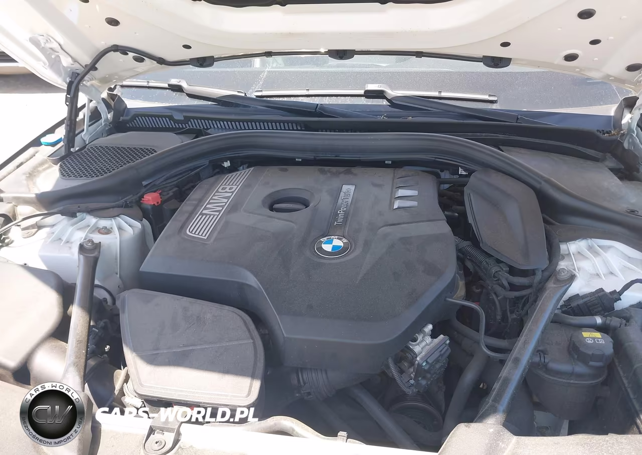 2017 BMW 530I xDrive VIN:WBAJA7C31HG906206 - 10