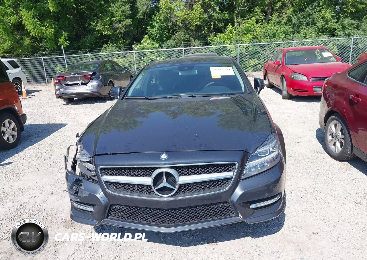 2014 Mercedes-Benz Cls 550 4Matic VIN:WDDLJ9BB0EA097219 - 13