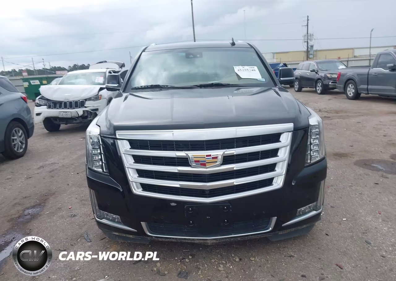 2018 Cadillac Escalade Esv Platinum VIN:1GYS4KKJ8JR142411 - 12