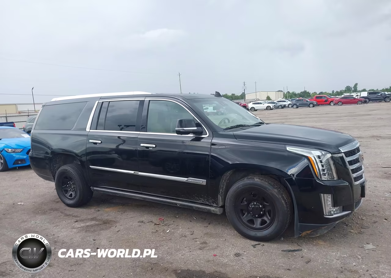 2018 Cadillac Escalade Esv Platinum VIN:1GYS4KKJ8JR142411 - 13