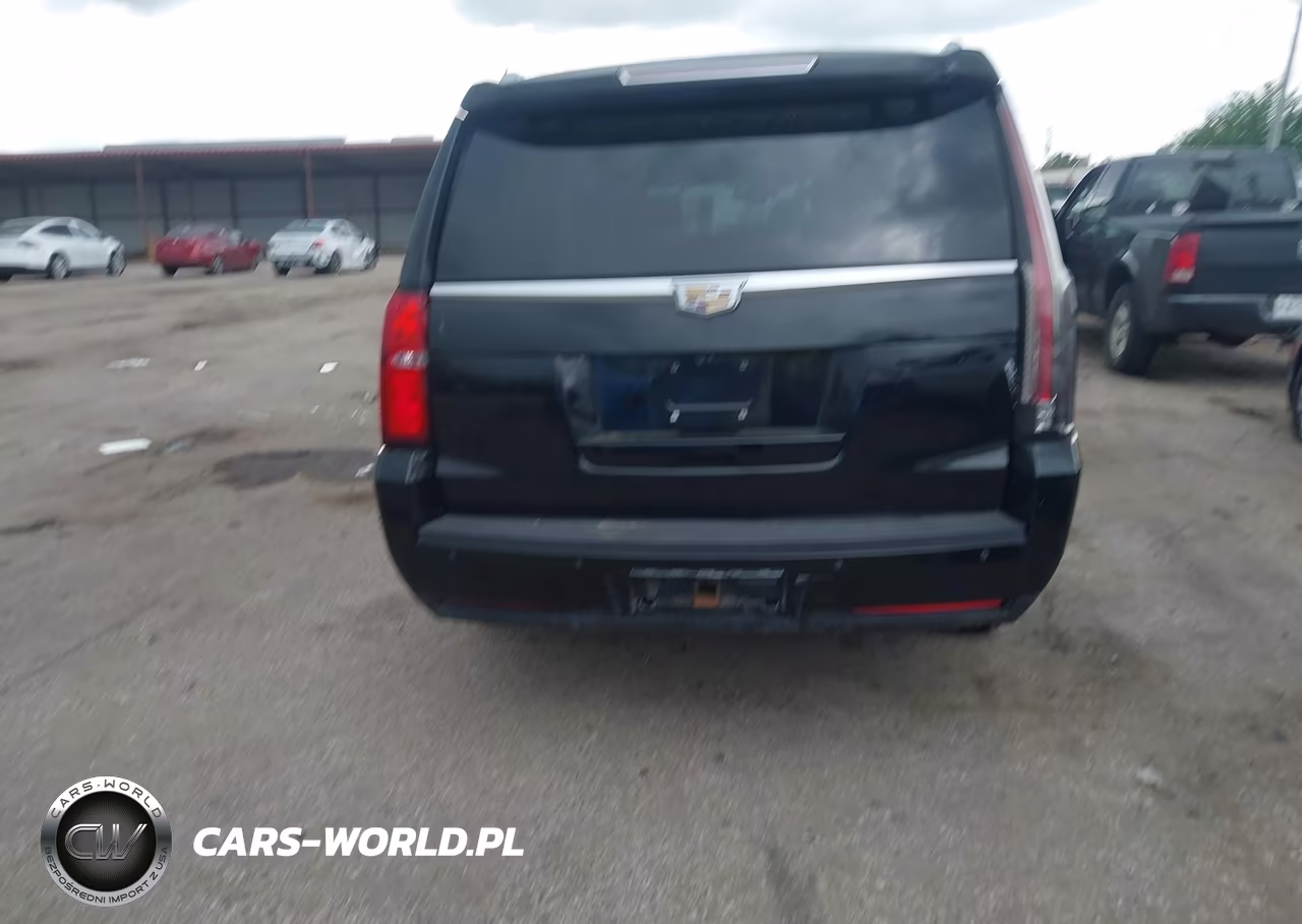 2018 Cadillac Escalade Esv Platinum VIN:1GYS4KKJ8JR142411 - 16