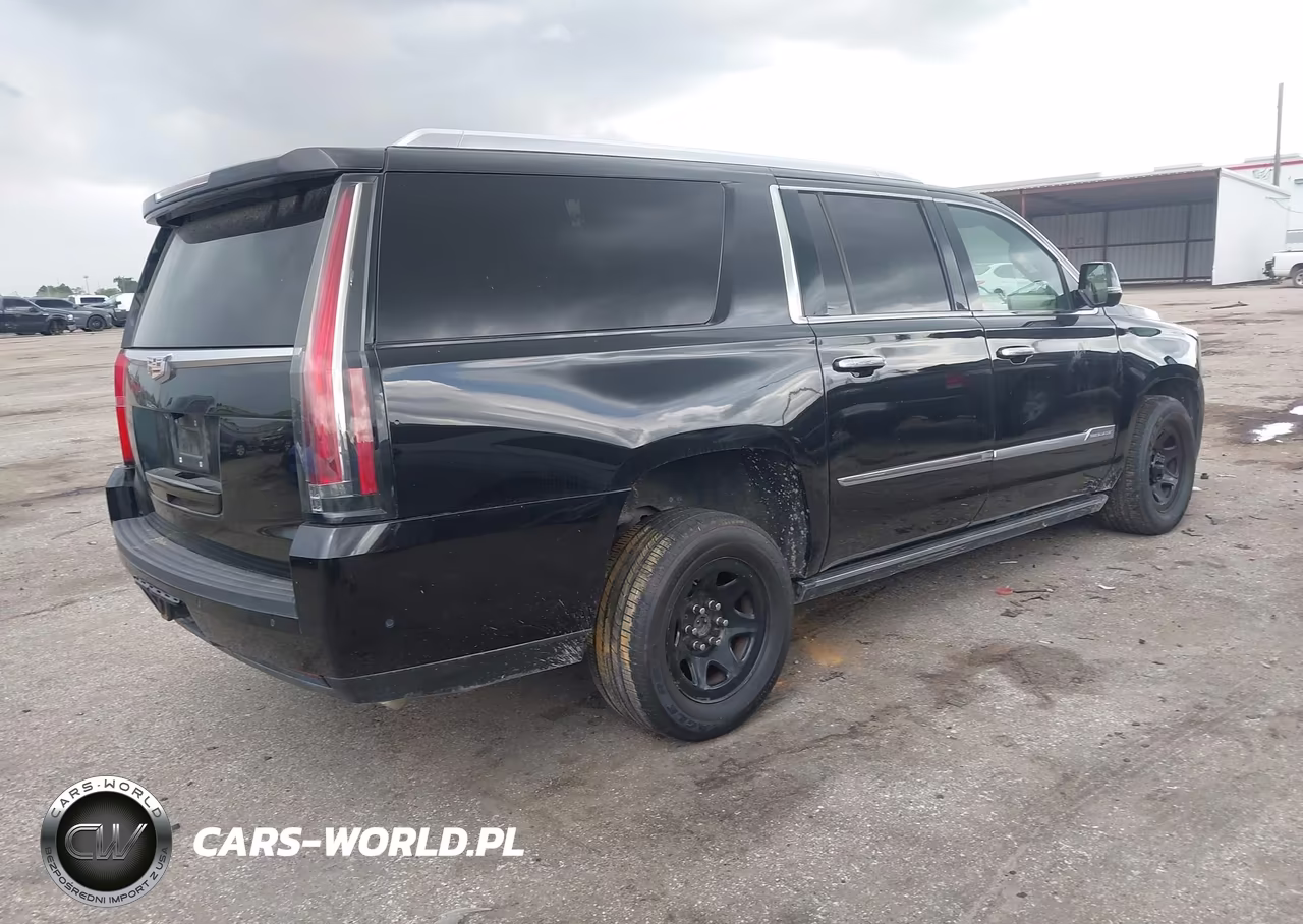 2018 Cadillac Escalade Esv Platinum VIN:1GYS4KKJ8JR142411 - 4