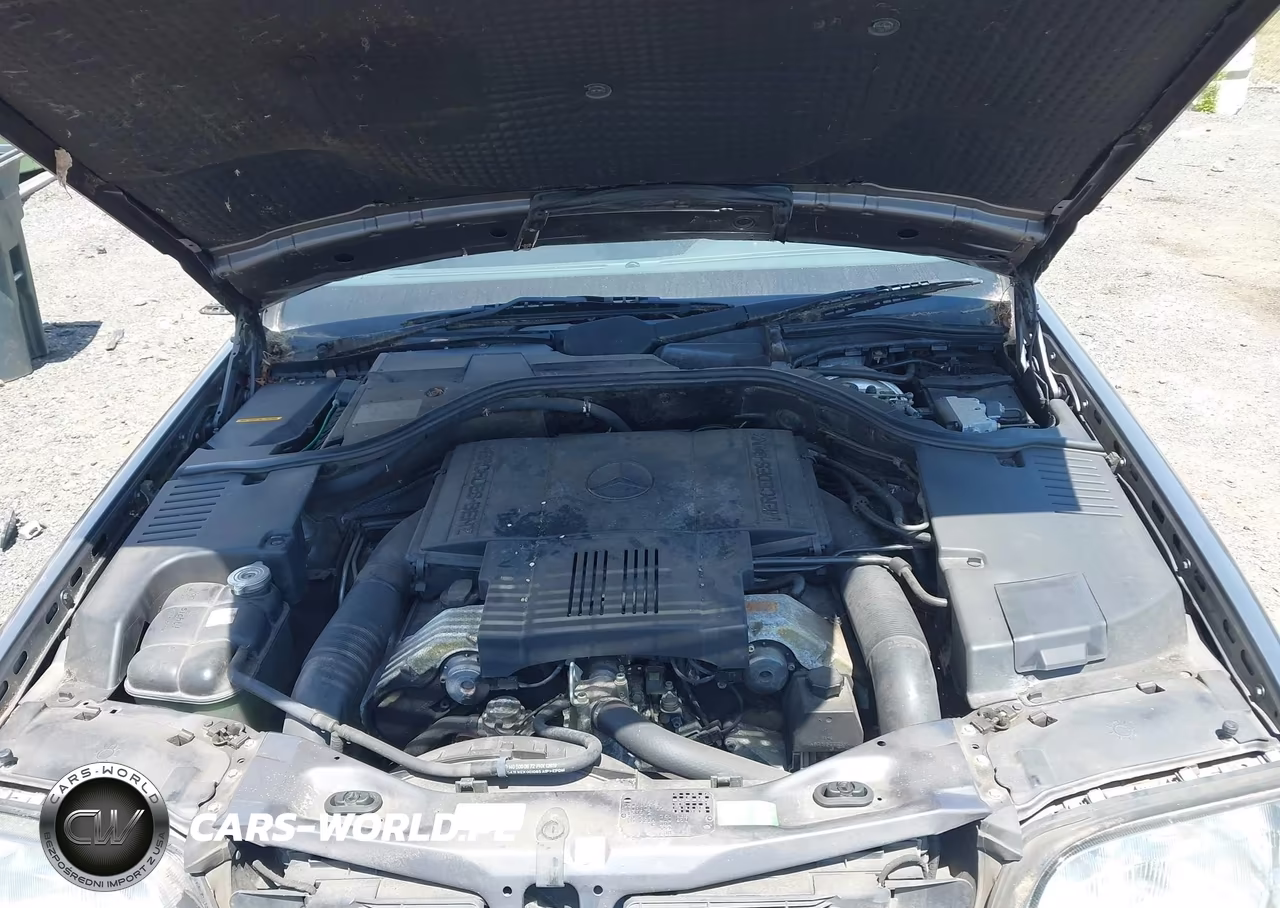 1996 Mercedes-Benz S 420 VIN:WDBGA43E4TA317240 - 10