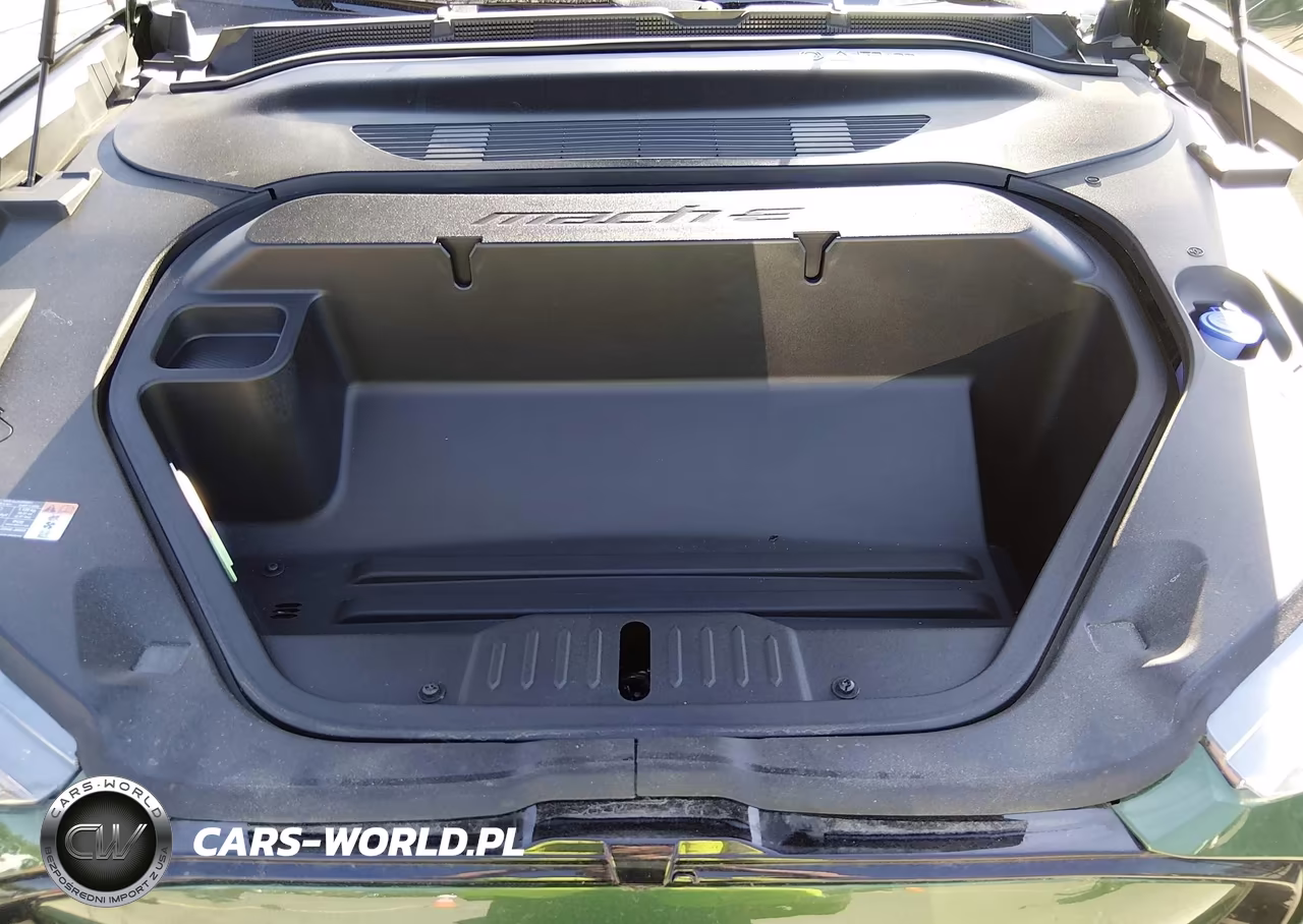 2025 Ford Mustang Mach-E Premium VIN:3FMTK3SU2SMA56025 - 10