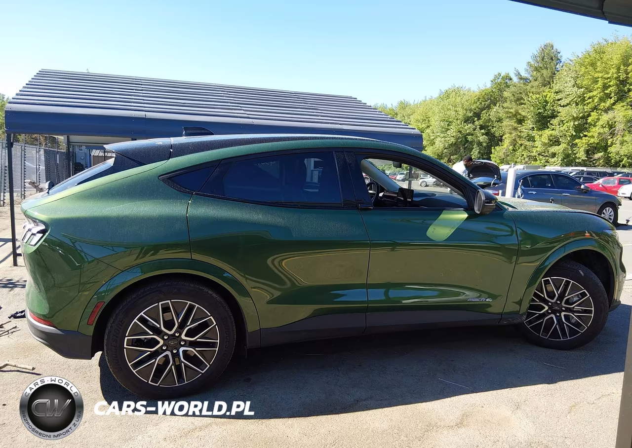 2025 Ford Mustang Mach-E Premium VIN:3FMTK3SU2SMA56025 - 13