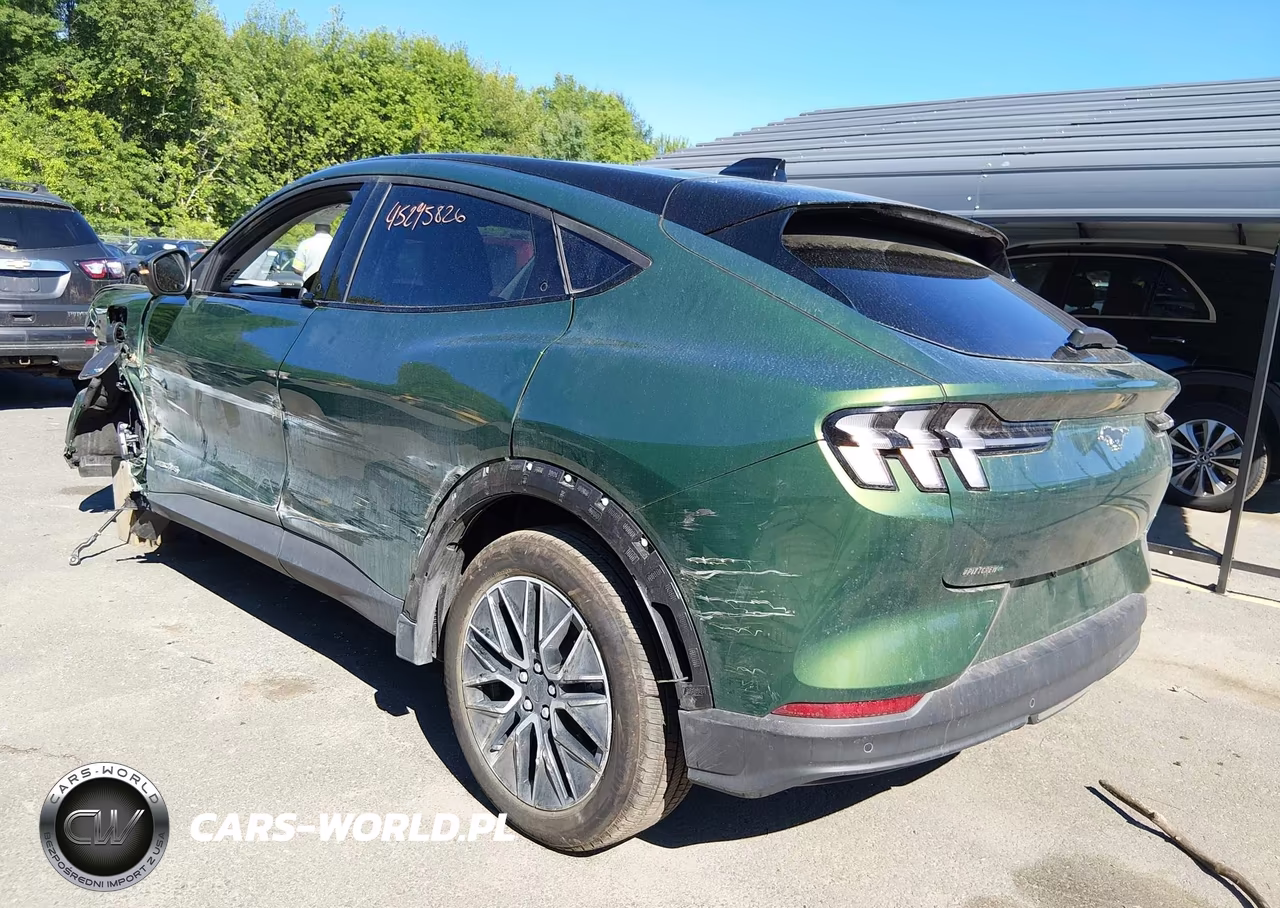 2025 Ford Mustang Mach-E Premium VIN:3FMTK3SU2SMA56025 - 3