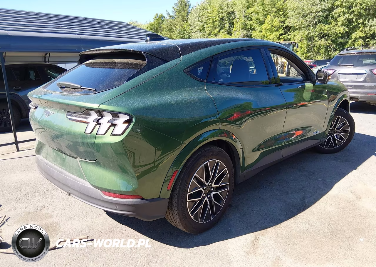 2025 Ford Mustang Mach-E Premium VIN:3FMTK3SU2SMA56025 - 4