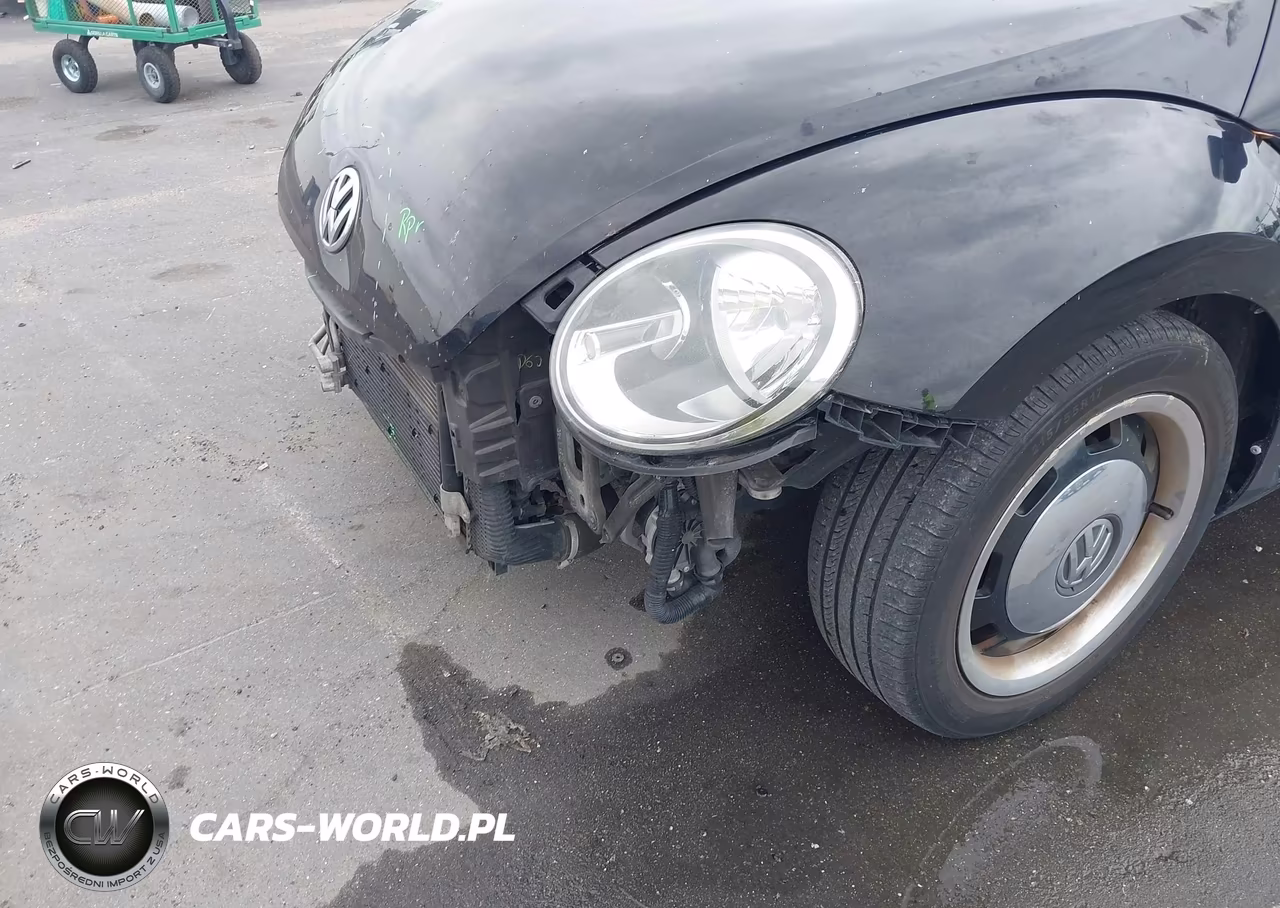 2016 Volkswagen Beetle 1.8T Classic VIN:3VWF17AT7GM634354 - 19