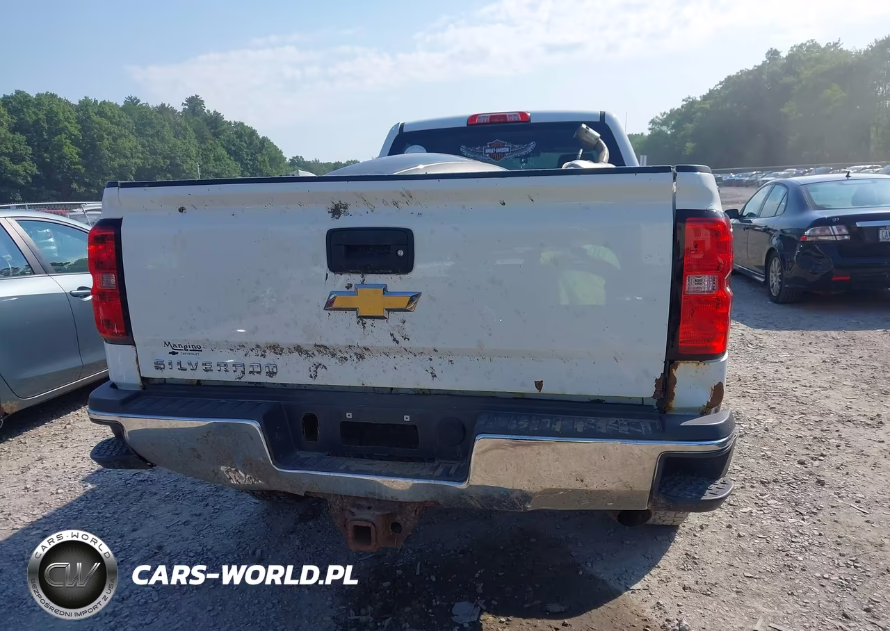 2015 Chevrolet Silverado 2500Hd Wt VIN:1GC2KUEG6FZ552509 - 16