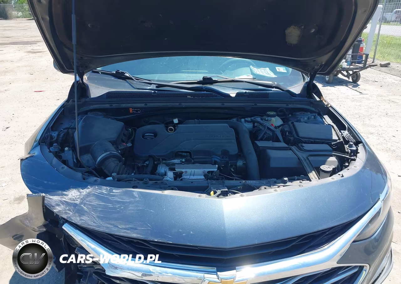 2019 Chevrolet Malibu 1Ls VIN:1G1ZB5ST1KF128830 - 10