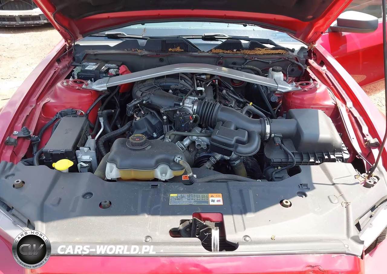 2013 Ford Mustang V6 VIN:1ZVBP8EM9D5258103 - 10
