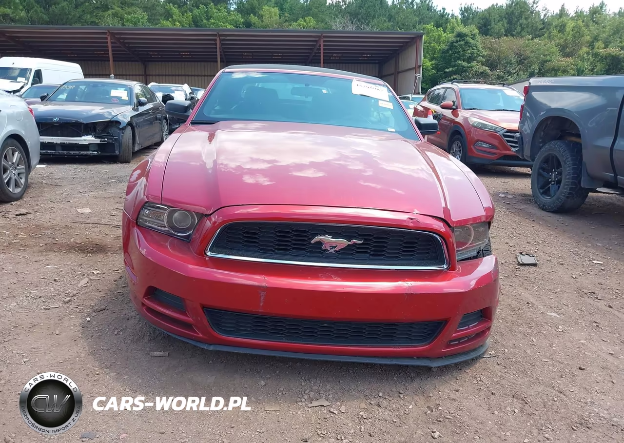 2013 Ford Mustang V6 VIN:1ZVBP8EM9D5258103 - 12