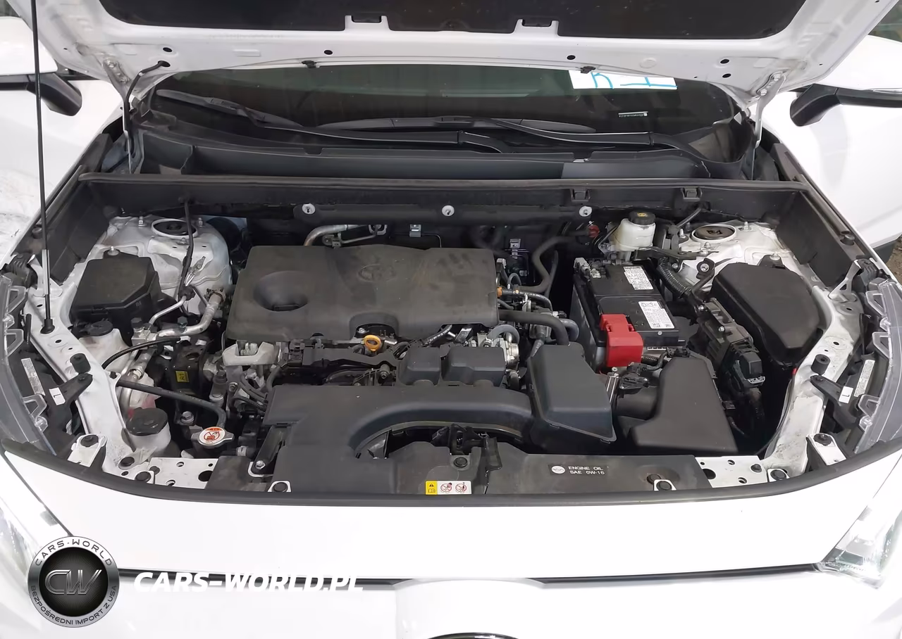 2025 Toyota Rav4 Xle VIN:2T3P1RFV3SW544056 - 10