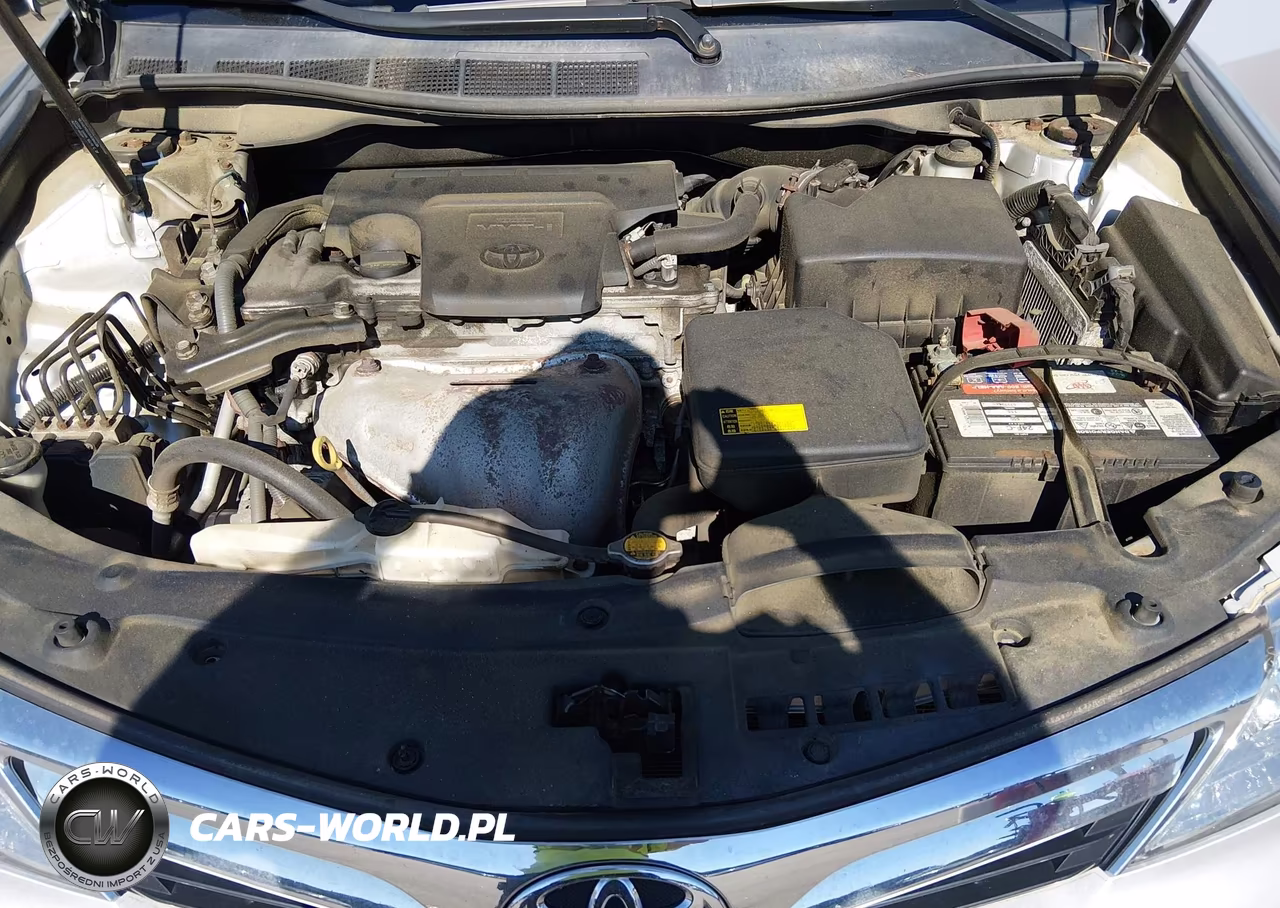 2013 Toyota Camry Xle VIN:4T1BF1FK2DU707892 - 10