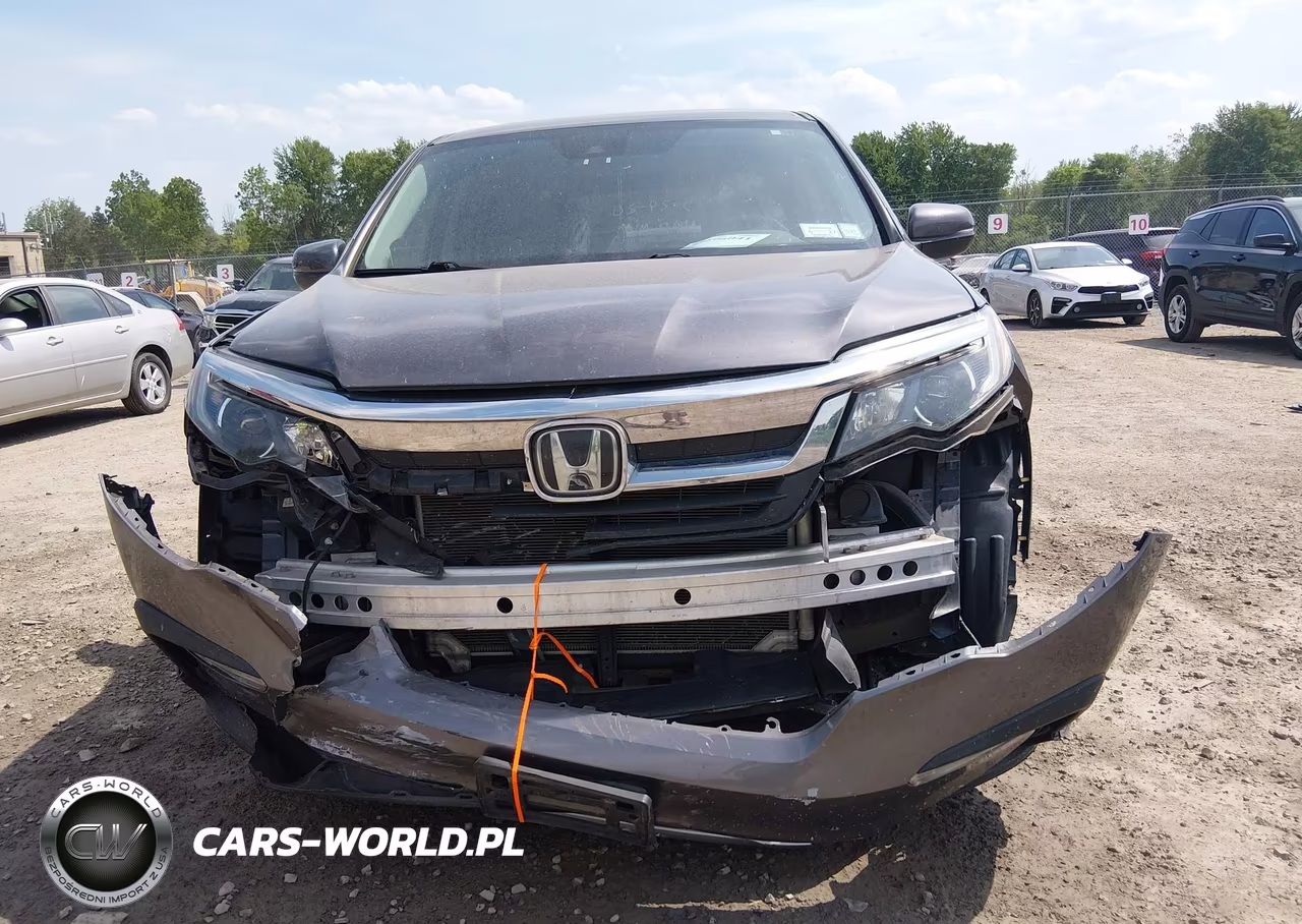2019 Honda Pilot Ex-L VIN:5FNYF6H56KB037501 - 12
