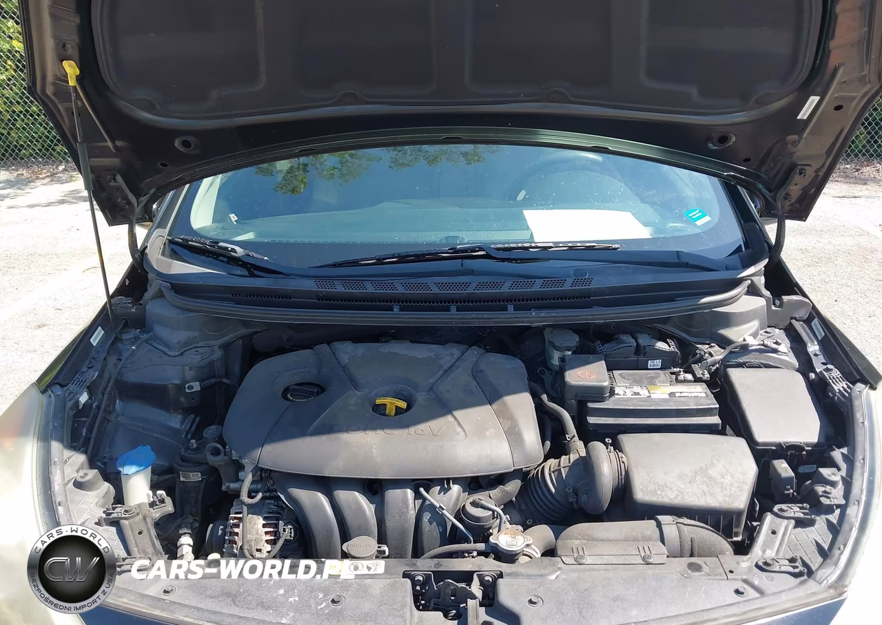 2015 Kia Forte Lx VIN:KNAFK4A63F5366252 - 10