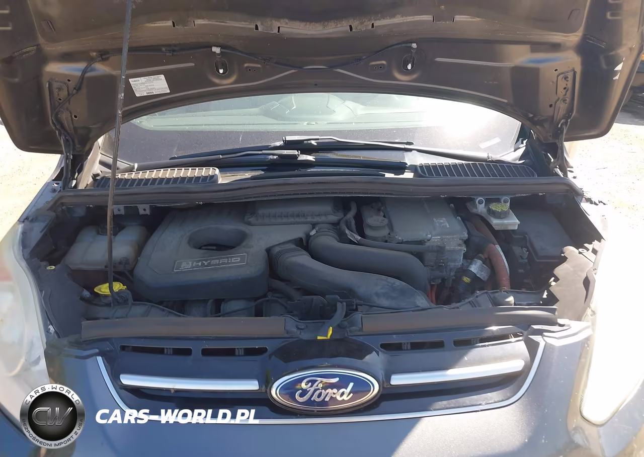 2015 Ford C-Max Hybrid Se VIN:1FADP5AU2FL117569 - 10