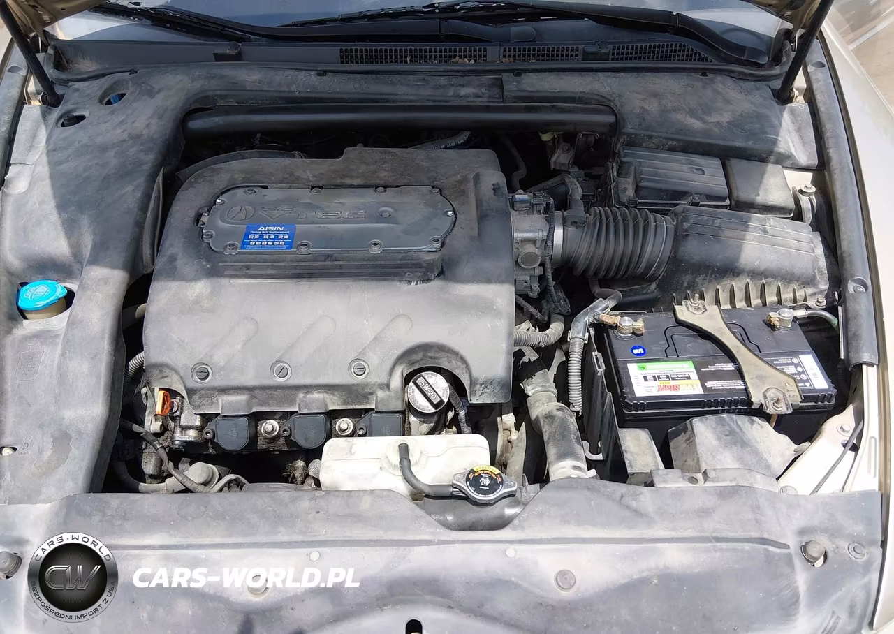 2004 Acura Tl VIN:19UUA66234A011313 - 10