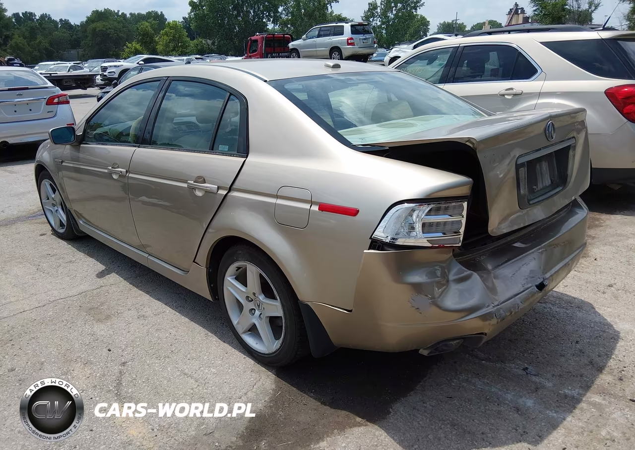 2004 Acura Tl VIN:19UUA66234A011313 - 3