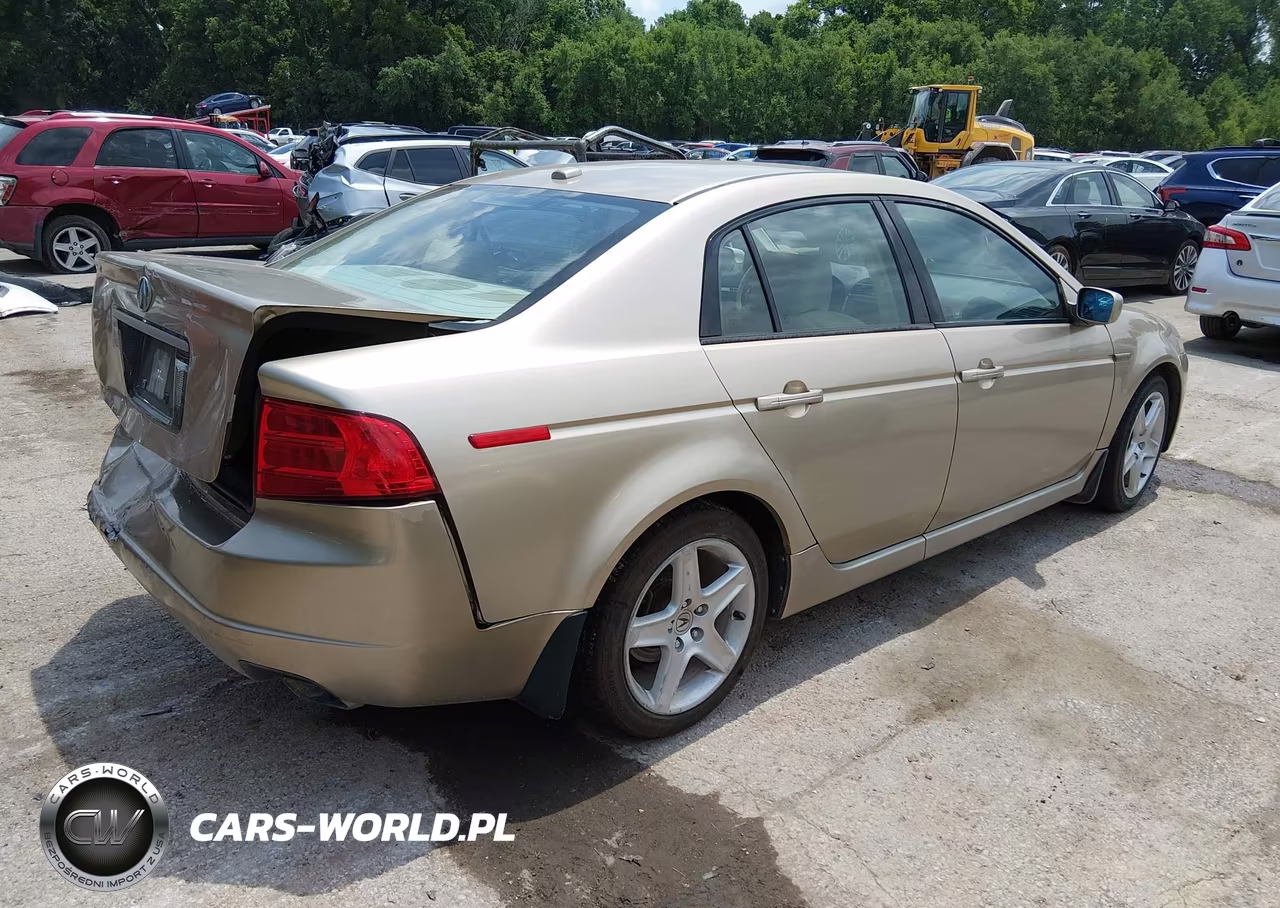 2004 Acura Tl VIN:19UUA66234A011313 - 4