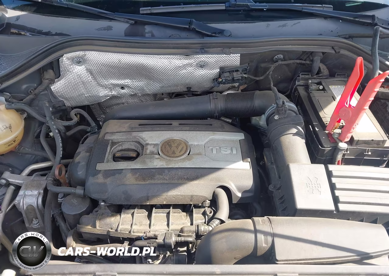 2013 Volkswagen Tiguan Se VIN:WVGAV7AX4DW523787 - 10