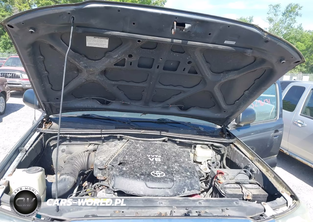 2009 Toyota Tacoma Base V6 VIN:5TELU42N79Z611884 - 10