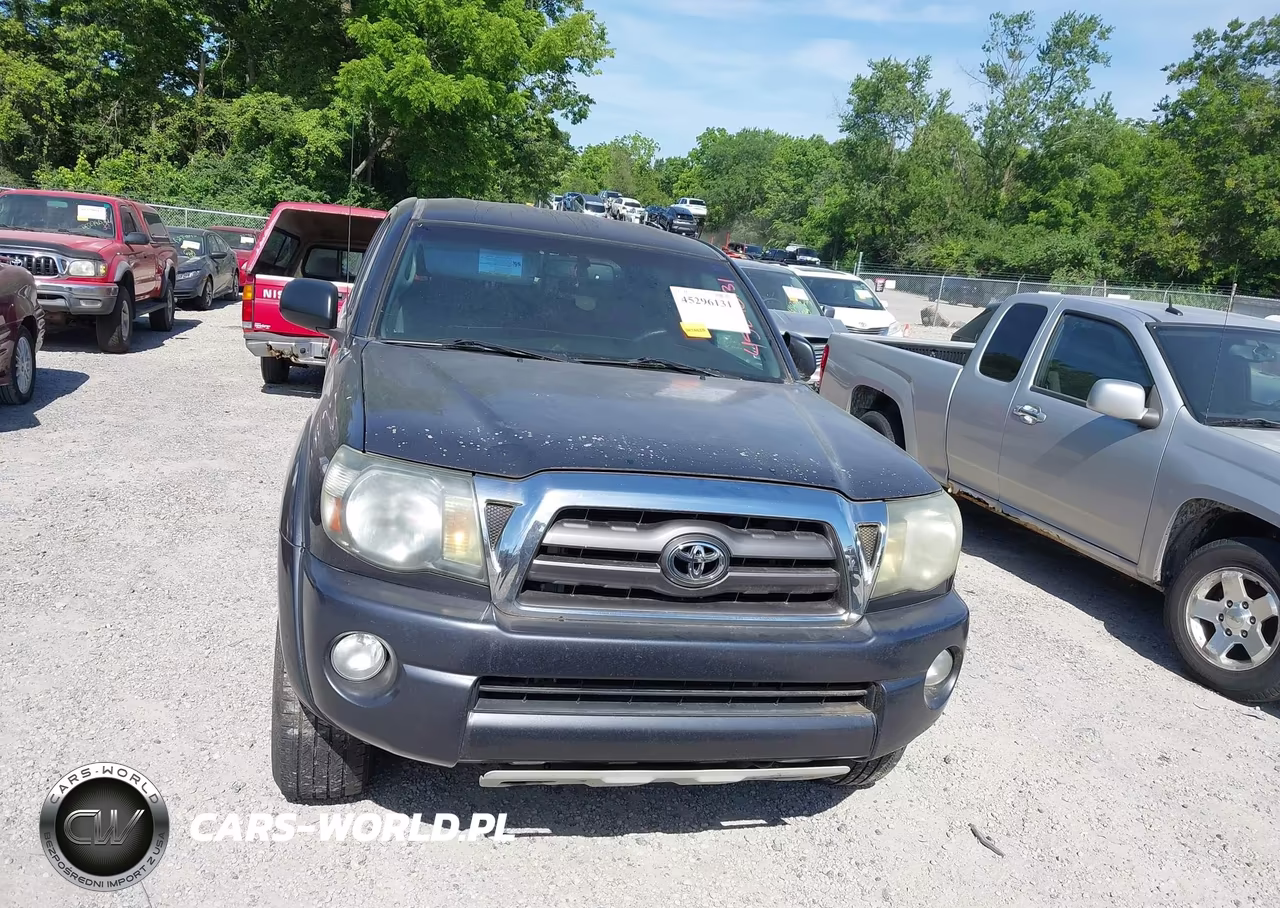 2009 Toyota Tacoma Base V6 VIN:5TELU42N79Z611884 - 12